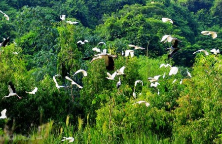 Khu du lịch sinh thái vườn chim Thung Nham