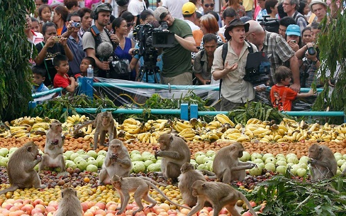 Độc, lạ lễ hội Monkey Buffet ở Thái Lan